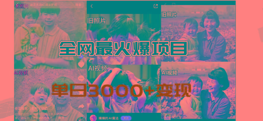 全网爆火的AI让老照片动起来教程，蹭热点日赚3000+，内含免费工具一键…-翻身站