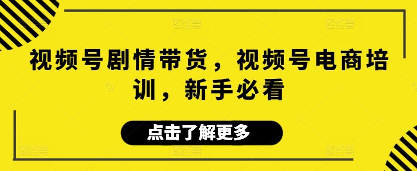 视频号剧情带货，视频号电商培训，新手必看-翻身站