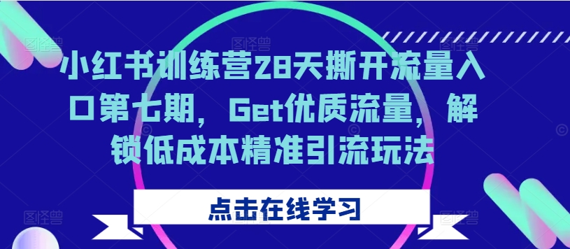 小红书训练营28天撕开流量入口第七期，Get优质流量，解锁低成本精准引流玩法-翻身站