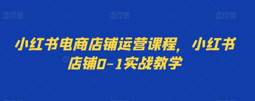 小红书电商店铺运营课程，小红书店铺0-1实战教学-翻身站