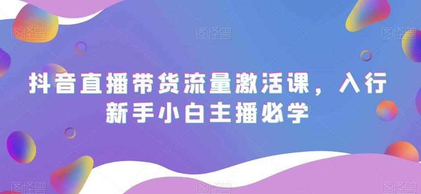 抖音直播带货流量激活课，入行新手小白主播必学-翻身站
