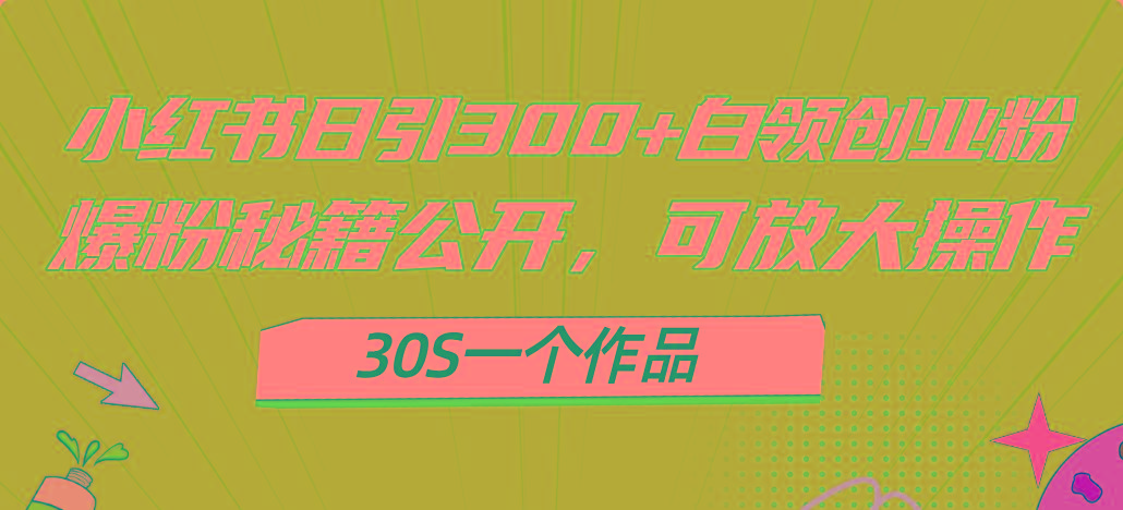小红书日引300+高质白领创业粉，可放大操作，爆粉秘籍！30s一个作品-翻身站