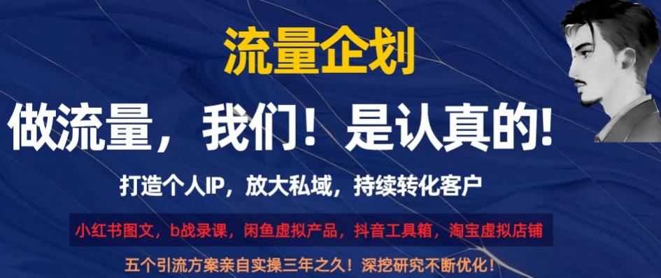 流量企划，打造个人IP，放大私域，持续转化客户【揭秘】-翻身站
