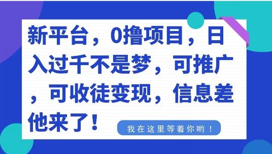 不要再花冤枉钱了，0撸项目，每天坚持，稳定1000+-翻身站
