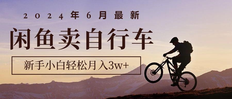 2024年6月最新闲鱼卖自行车，新手小白轻松月入3w+项目-翻身站
