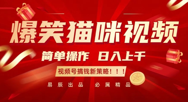 爆笑猫咪视频：简单操作，日入过K，视频号搞钱新策略【揭秘】-翻身站