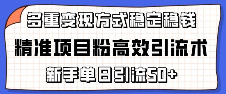 精准项目粉高效引流术，新手单日引流50+，多重变现方式稳定赚钱【揭秘】-翻身站