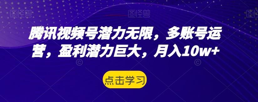 腾讯视频号潜力无限，多账号运营，盈利潜力巨大，月入10w+-翻身站