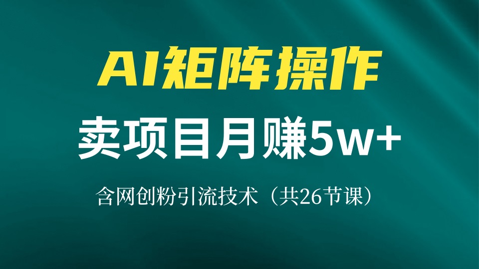 网创IP打造课，借助AI卖项目月赚5万+，含引流技术(共26节课-翻身站