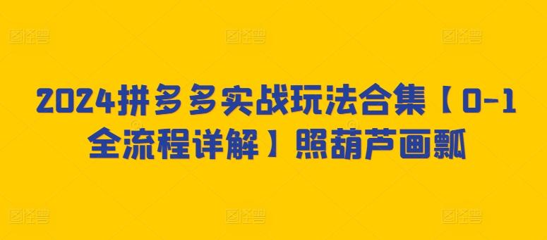 2024拼多多实战玩法合集【0-1全流程详解】照葫芦画瓢-翻身站