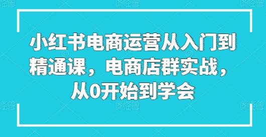 小红书电商运营从入门到精通课，电商店群实战，从0开始到学会-翻身站