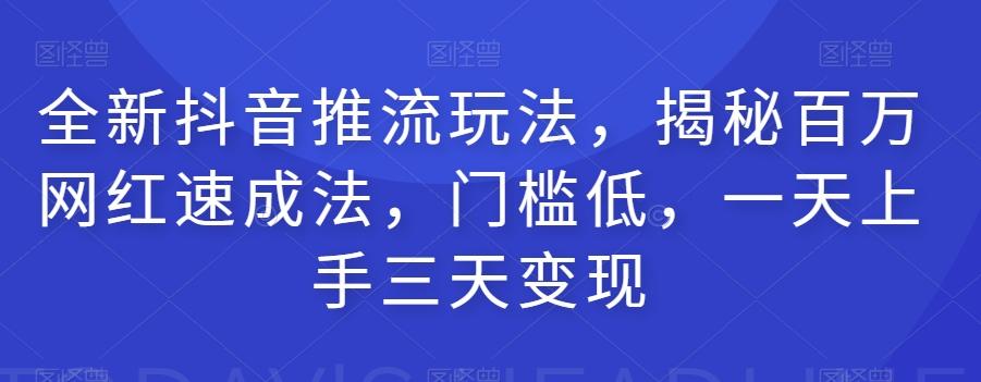 全新抖音推流玩法，揭秘百万网红速成法，门槛低，一天上手三天变现-翻身站