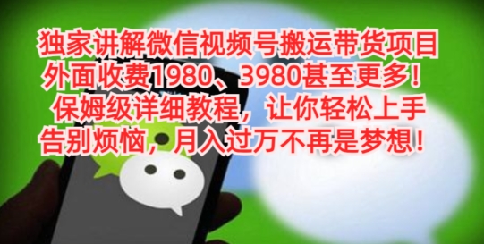 独家讲解微信视频号搬运带货项目，保姆级详细教程-翻身站