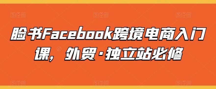 脸书Facebook跨境电商入门课，外贸·独立站必修-翻身站