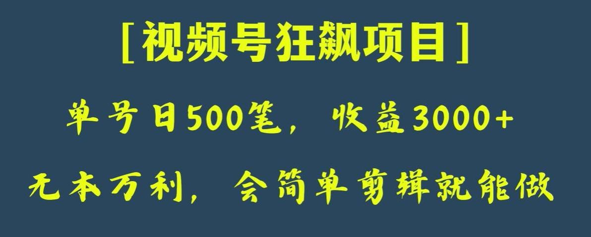 日收款500笔，纯利润3000+，视频号狂飙项目，会简单剪辑就能做【揭秘】-翻身站