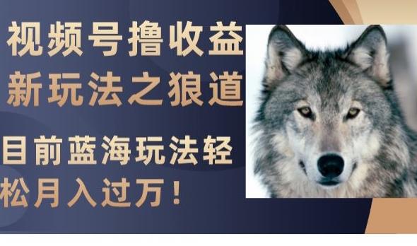 视频号撸收益新玩法之狼道，目前蓝海玩法，轻松月入过万【揭秘】-翻身站