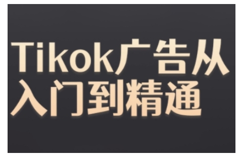 Tiktok Ads实操教程，Tiktok广告从入门到精通-翻身站