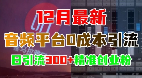 12月最新：音频平台0成本引流，日引流300+精准创业粉-翻身站
