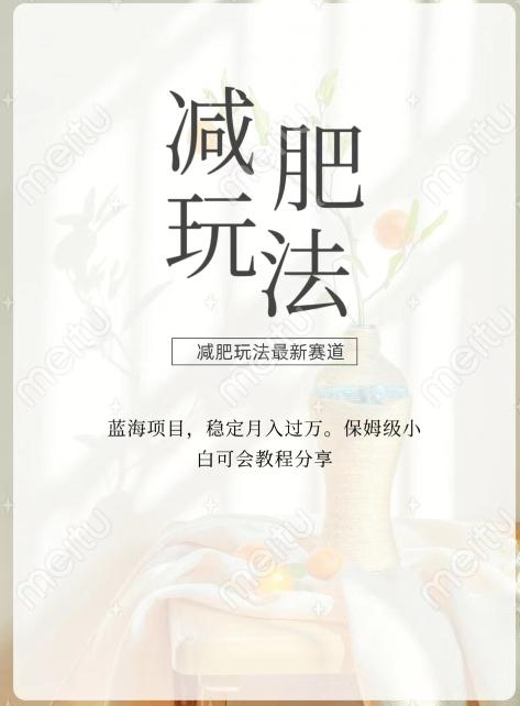 减肥流量主新玩法，轻松月入1W，可矩阵操作收入翻倍-翻身站