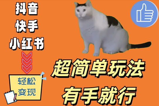 超简单玩法，有手就行，靠猫咪视频日入500+【揭秘】-翻身站