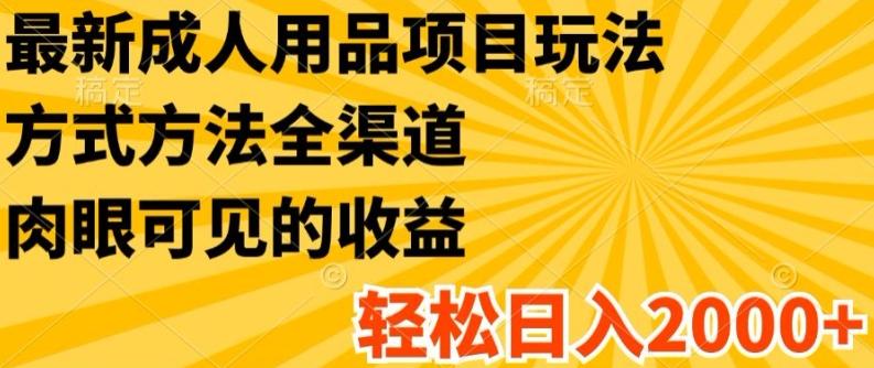 最新成人用品项目玩法，方式方法全渠道，轻松日入2K+【揭秘】-翻身站