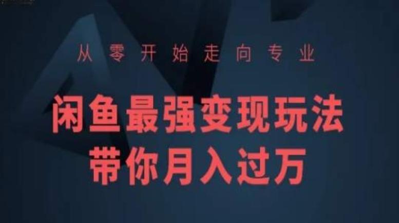 从零开始走向专业，闲鱼最强变现玩法带你月入过万-翻身站
