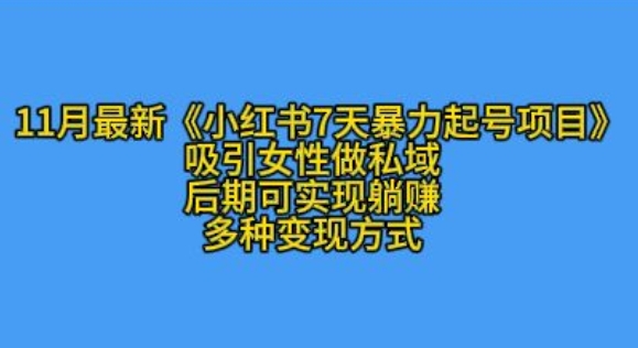 K总部落11月最新小红书7天暴力起号项目，吸引女性做私域【揭秘】-翻身站