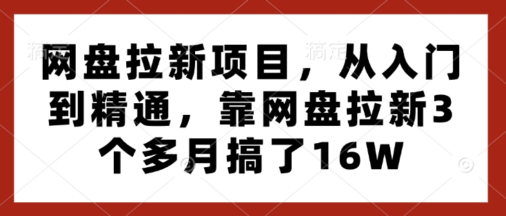 网盘拉新项目，从入门到精通，靠网盘拉新3个多月搞了16W-翻身站