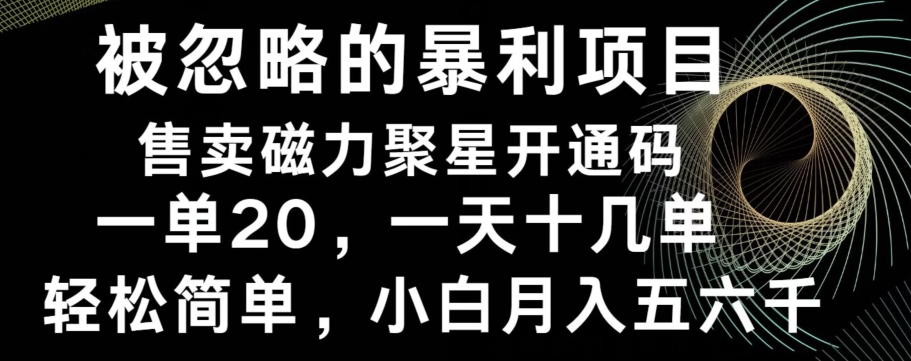 被忽略的暴利项目！售卖磁力聚星开通码，一单20，一天十几单，轻松月入五六千-翻身站