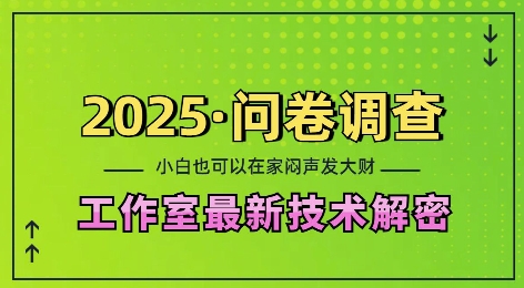 2025问卷调查最新工作室技术解密：一个人在家也可以闷声发大财，小白一天2张，可矩阵放大【揭秘】-翻身站