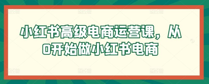 小红书高级电商运营课，从0开始做小红书电商-翻身站