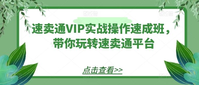 速卖通VIP实战操作速成班，带你玩转速卖通平台-翻身站