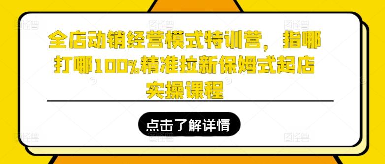 全店动销经营模式特训营，指哪打哪100%精准拉新保姆式起店实操课程-翻身站