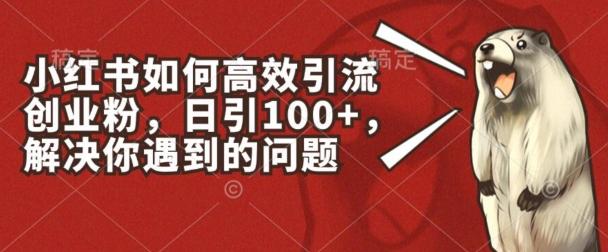 小红书如何高效引流创业粉，日引100+，解决你遇到的问题【揭秘】-翻身站