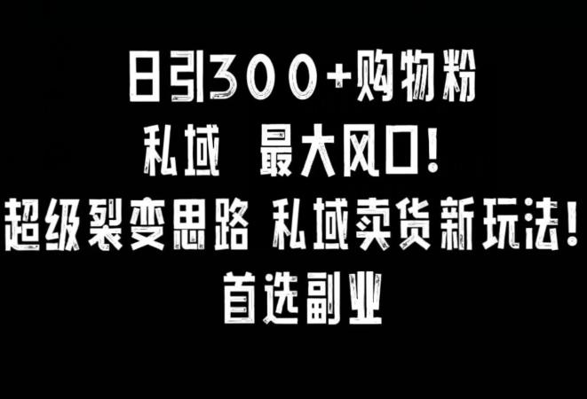 日引300+购物粉，超级裂变思路，私域卖货新玩法，小红书首选副业【揭秘】-翻身站