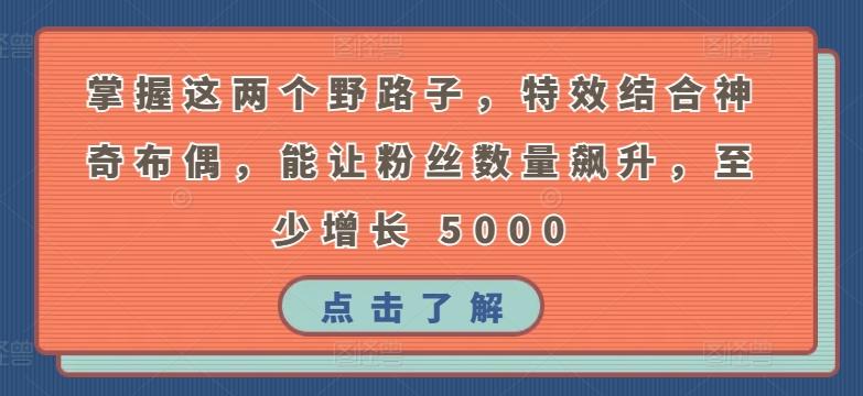 掌握这两个野路子，特效结合神奇布偶，能让粉丝数量飙升，至少增长 5000【揭秘】-翻身站