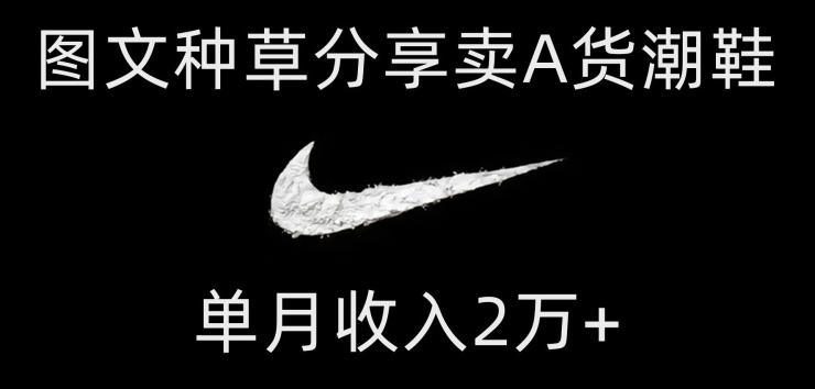 靠图文种草分享卖A货潮鞋，每天一小时，单月收入2万+【揭秘】-翻身站