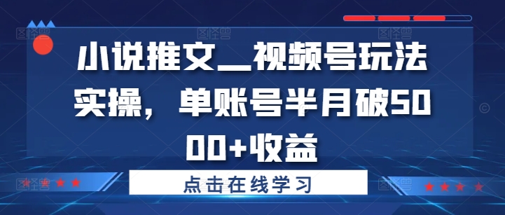 小说推文—视频号玩法实操，单账号半月破5000+收益-翻身站