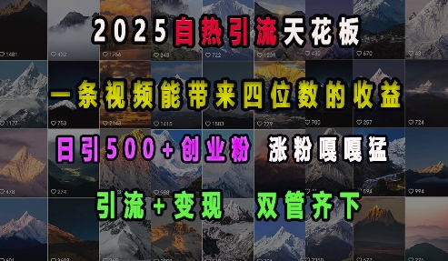 2025自热引流天花板，一条视频能带来四位数的收益，引流+变现双管齐下，日引500+创业粉，涨粉嘎嘎猛-翻身站