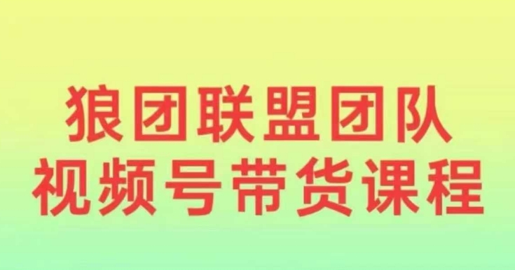 狼团联盟2024视频号带货，0基础小白快速入局视频号-翻身站