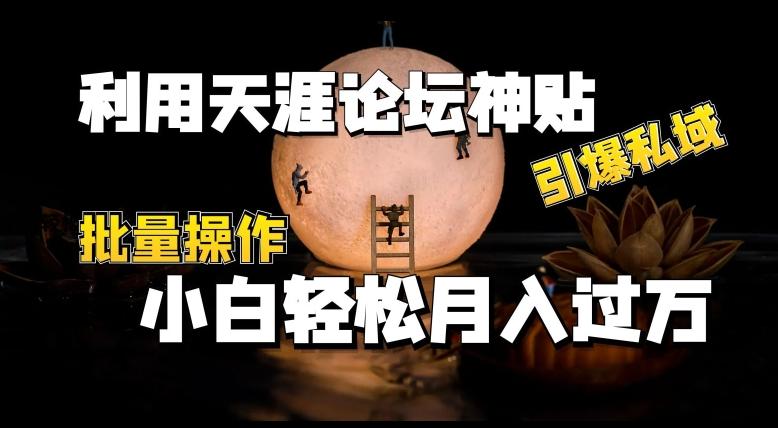 利用天涯论坛神贴，引爆私域，批量操作，小白轻松月入过w【揭秘】-翻身站