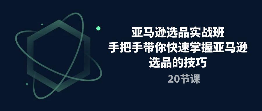 亚马逊选品实战班，手把手带你快速掌握亚马逊选品的技巧(20节课-翻身站
