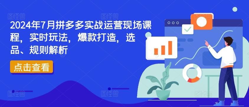 2024年7月拼多多实战运营现场课程，实时玩法，爆款打造，选品、规则解析-翻身站
