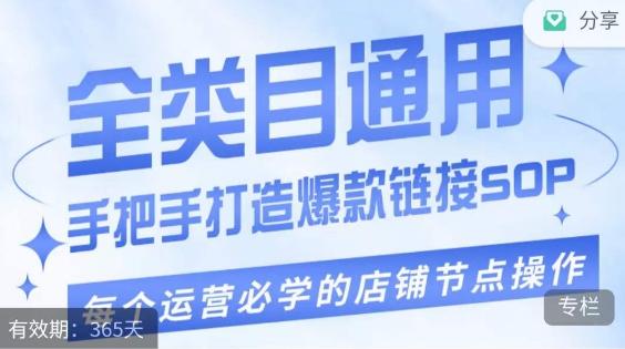 单品爆款打造实操运营，单品爆款从“0”-“1”手把手演练运营步骤-翻身站