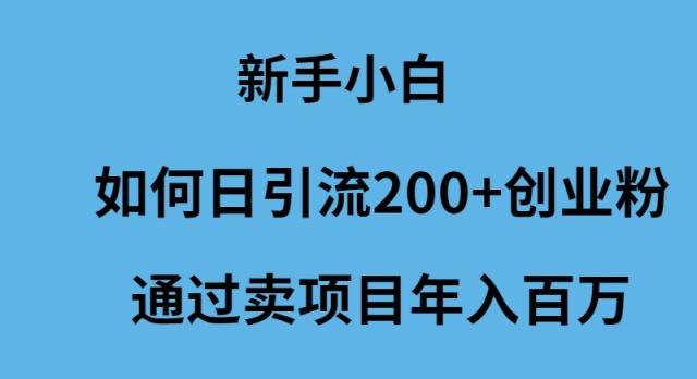 (9668期)新手小白如何日引流200+创业粉通过卖项目年入百万-翻身站