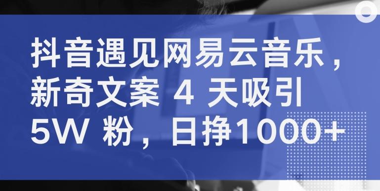 抖音遇见网易云音乐，新奇文案 4 天吸引 5W 粉，日挣1000+【揭秘】-翻身站