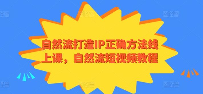 自然流打造IP正确方法线上课，自然流短视频教程-翻身站