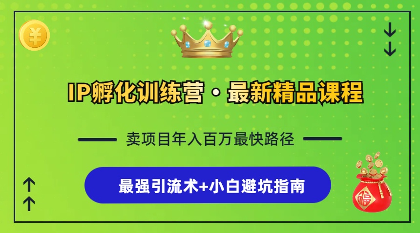 IP孵化训练营，知识付费全流程+最强引流术+小白避坑指南-翻身站