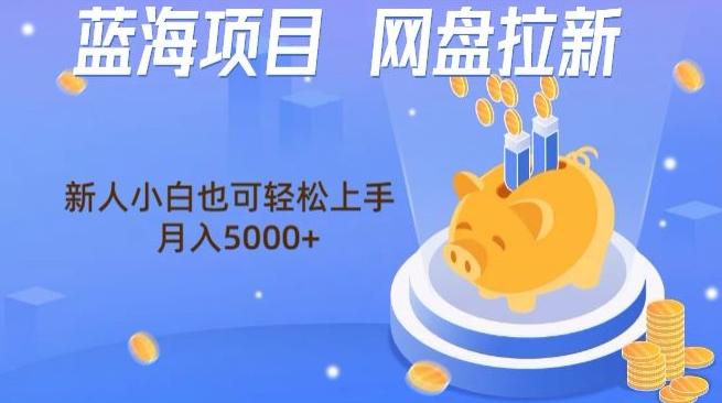 蓝海项目网盘拉新，新人小白也可操作，每月收入5000+-翻身站