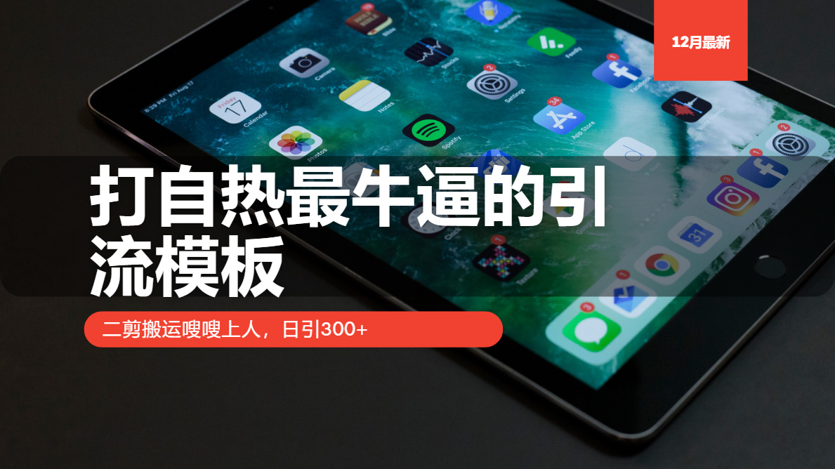 打自热最牛逼的引流模板，二剪搬运嗖嗖上人，日引300+-翻身站